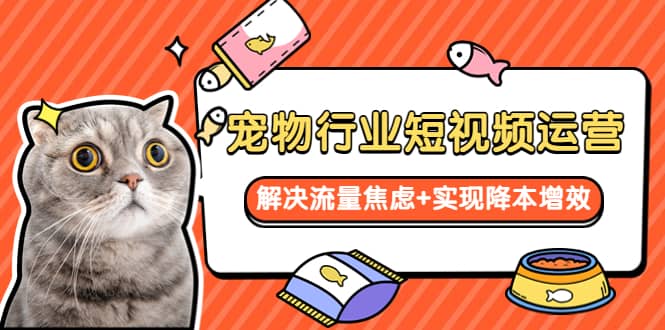 宠物/行业短视频运营 流量增长的一层窗户纸 解决流量焦虑+实现降本增效四海领钱-网创-知识付费-网创项目资源站-副业项目-创业项目-搞钱项目四海领钱