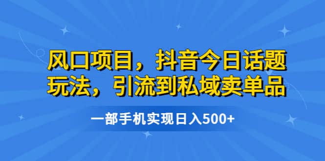 风口项目，抖音今日话题玩法，引流到私域卖单品，一部手机实现日入500+四海领钱-网创-知识付费-网创项目资源站-副业项目-创业项目-搞钱项目四海领钱