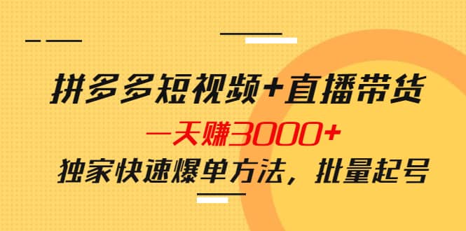 拼多多短视频+直播带货，一天赚3000+独家快速爆单方法，批量起号四海领钱-网创-知识付费-网创项目资源站-副业项目-创业项目-搞钱项目四海领钱