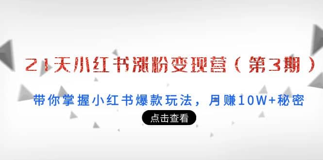 21天小红书涨粉变现营（第3期）：带你掌握小红书爆款玩法，月赚10W+秘密四海领钱-网创-知识付费-网创项目资源站-副业项目-创业项目-搞钱项目四海领钱