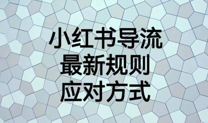 小红书导流最新规则应对方式【揭秘】四海领钱-网创-知识付费-网创项目资源站-副业项目-创业项目-搞钱项目四海领钱