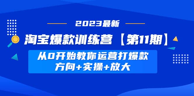淘宝爆款训练营【第11期】 从0开始教你运营打爆款，方向+实操+放大四海领钱-网创-知识付费-网创项目资源站-副业项目-创业项目-搞钱项目四海领钱