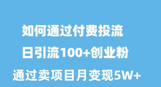 如何通过付费投流日引流100+创业粉月变现5W+四海领钱-网创-知识付费-网创项目资源站-副业项目-创业项目-搞钱项目四海领钱