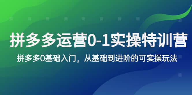 拼多多-运营0-1实操训练营，拼多多0基础入门，从基础到进阶的可实操玩法四海领钱-网创-知识付费-网创项目资源站-副业项目-创业项目-搞钱项目四海领钱
