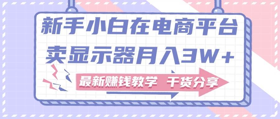 新手小白如何做到在电商平台卖显示器月入3W+，最新赚钱教学干货分享四海领钱-网创-知识付费-网创项目资源站-副业项目-创业项目-搞钱项目四海领钱