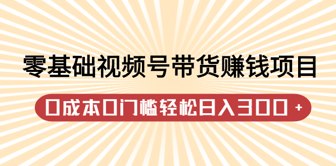 零基础视频号带货赚钱项目，0成本0门槛轻松日入300+【视频教程】四海领钱-网创-知识付费-网创项目资源站-副业项目-创业项目-搞钱项目四海领钱