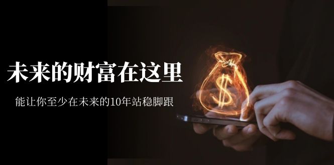 某收费文章《未来的财富在这里》能让你至少在未来的10年站稳脚跟四海领钱-网创-知识付费-网创项目资源站-副业项目-创业项目-搞钱项目四海领钱
