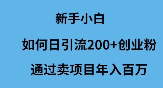 新手小白如何日引流200+创业粉通过卖项目年入百万四海领钱-网创-知识付费-网创项目资源站-副业项目-创业项目-搞钱项目四海领钱