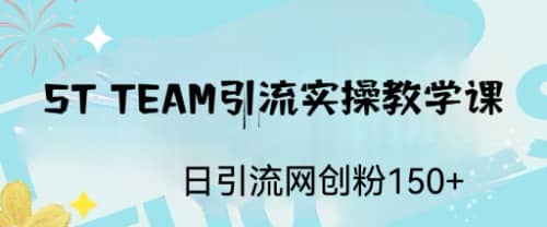 ST TEAM引流实操课，日引流网创粉100+四海领钱-网创-知识付费-网创项目资源站-副业项目-创业项目-搞钱项目四海领钱