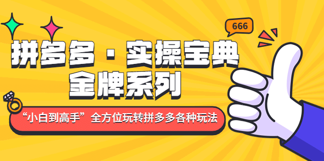 拼多多·实操宝典：金牌系列“小白到高手”带你全方位玩转拼多多各种玩法四海领钱-网创-知识付费-网创项目资源站-副业项目-创业项目-搞钱项目四海领钱