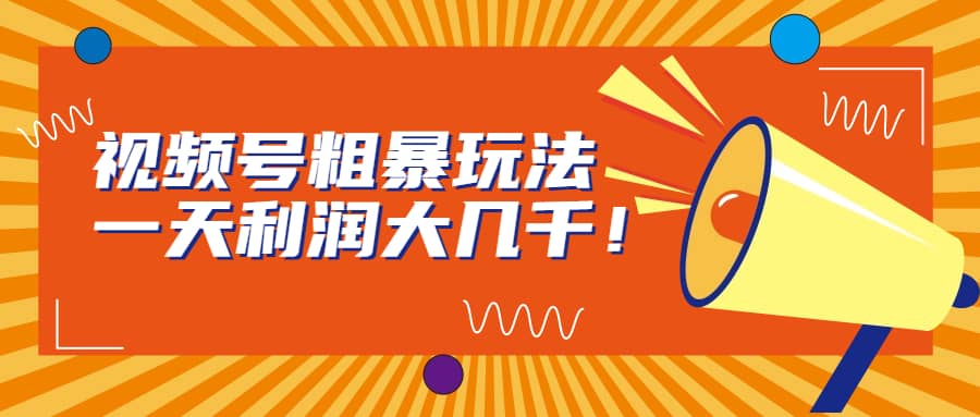 视频号粗暴玩法，一天利润大几千四海领钱-网创-知识付费-网创项目资源站-副业项目-创业项目-搞钱项目四海领钱