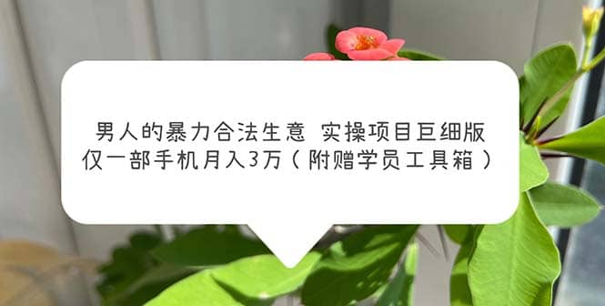 男人的暴力合法生意实操项目巨细版：仅一部手机月入3w（附赠学员工具箱）四海领钱-网创-知识付费-网创项目资源站-副业项目-创业项目-搞钱项目四海领钱