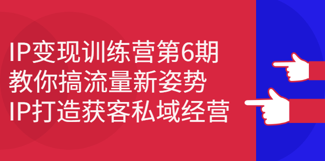 IP变现训练营第6期：教你搞流量新姿势，IP打造获客私域经营四海领钱-网创-知识付费-网创项目资源站-副业项目-创业项目-搞钱项目四海领钱