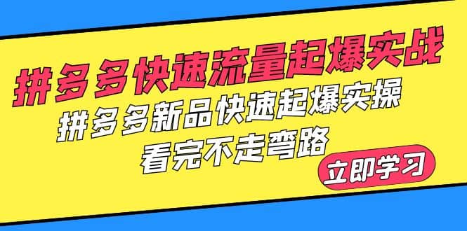 拼多多-快速流量起爆实战，拼多多新品快速起爆实操，看完不走弯路四海领钱-网创-知识付费-网创项目资源站-副业项目-创业项目-搞钱项目四海领钱