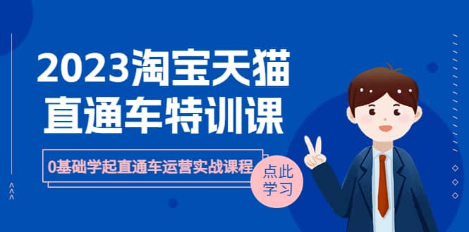 2023淘宝·天猫直通车评特训课，0基础学起直通车运营实战课程（8节课时）四海领钱-网创-知识付费-网创项目资源站-副业项目-创业项目-搞钱项目四海领钱