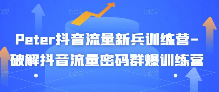 Peter抖音流量新兵训练营-破解抖音流量密码群爆训练营（新兵）四海领钱-网创-知识付费-网创项目资源站-副业项目-创业项目-搞钱项目四海领钱