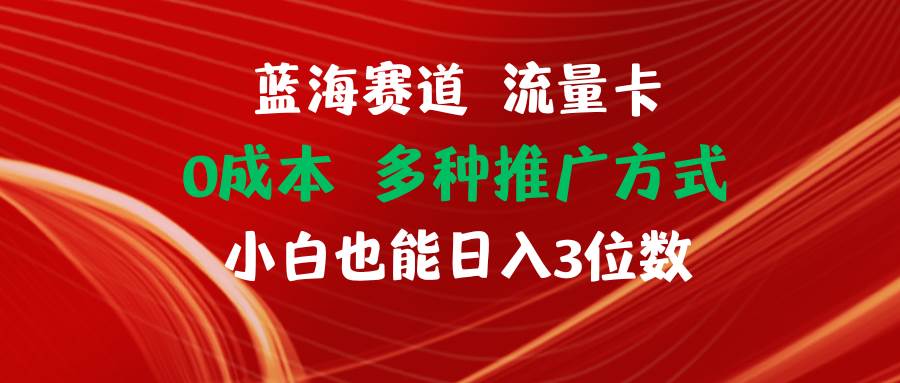 蓝海赛道 流量卡 0成本 小白也能日入三位数四海领钱-网创-知识付费-网创项目资源站-副业项目-创业项目-搞钱项目四海领钱