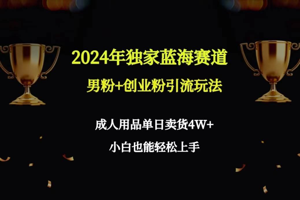 2024年独家蓝海赛道男粉+创业粉引流玩法，成人用品单日卖货4W+保姆教程四海领钱-网创-知识付费-网创项目资源站-副业项目-创业项目-搞钱项目四海领钱