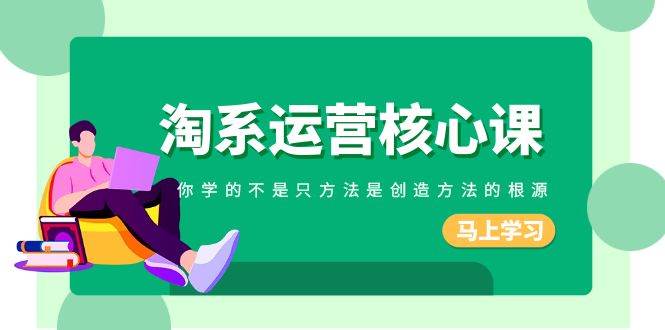 淘系-运营核心课，你学的不是只方法是创造方法的根源（190节课）四海领钱-网创-知识付费-网创项目资源站-副业项目-创业项目-搞钱项目四海领钱