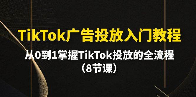 TikTok广告投放入门教程，从0到1掌握TikTok投放的全流程（8节课）四海领钱-网创-知识付费-网创项目资源站-副业项目-创业项目-搞钱项目四海领钱