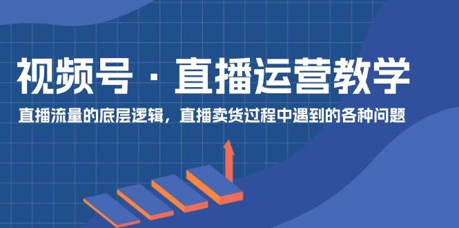 视频号 直播运营教学：直播流量的底层逻辑，直播卖货过程中遇到的各种问题四海领钱-网创-知识付费-网创项目资源站-副业项目-创业项目-搞钱项目四海领钱
