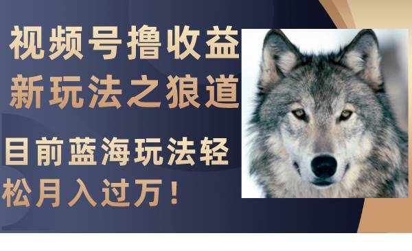 视频号撸收益新玩法之狼道，目前蓝海玩法轻松月入过万！四海领钱-网创-知识付费-网创项目资源站-副业项目-创业项目-搞钱项目四海领钱
