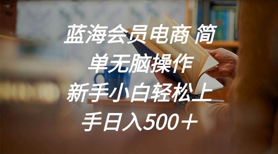 蓝海会员电商 简单无脑操作 新手小白轻松上手日入500＋四海领钱-网创-知识付费-网创项目资源站-副业项目-创业项目-搞钱项目四海领钱