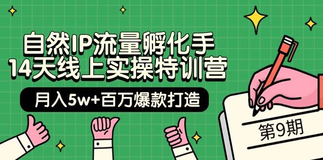 自然IP流量孵化手 14天线上实操特训营【第9期】月入5w+百万爆款打造 (74节)四海领钱-网创-知识付费-网创项目资源站-副业项目-创业项目-搞钱项目四海领钱