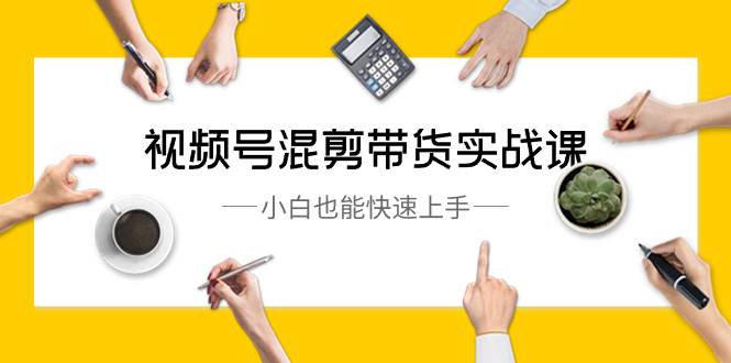 视频号-混剪带货实战课，小白也能快速上手（10节课）四海领钱-网创-知识付费-网创项目资源站-副业项目-创业项目-搞钱项目四海领钱