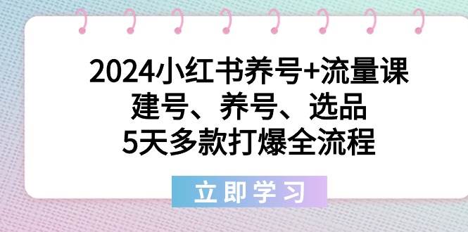 2024小红书养号+流量课：建号、养号、选品，5天多款打爆全流程四海领钱-网创-知识付费-网创项目资源站-副业项目-创业项目-搞钱项目四海领钱