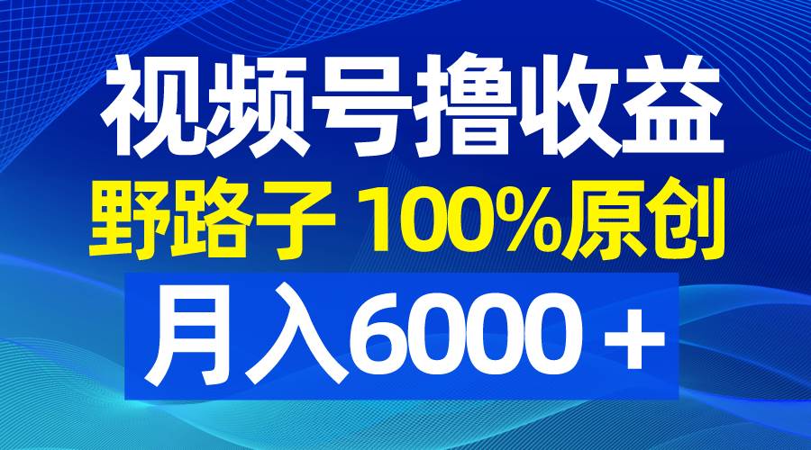 视频号野路子撸收益，100%原创，条条爆款，月入6000＋四海领钱-网创-知识付费-网创项目资源站-副业项目-创业项目-搞钱项目四海领钱
