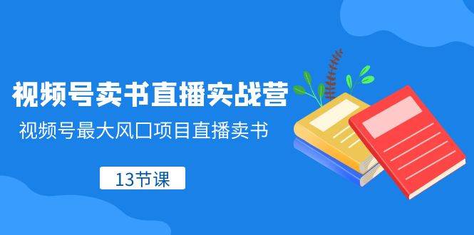 视频号-卖书直播实战营，视频号最大风囗项目直播卖书（13节课）四海领钱-网创-知识付费-网创项目资源站-副业项目-创业项目-搞钱项目四海领钱
