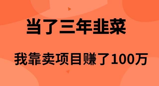 当了3年韭菜，我靠卖项目赚了100万四海领钱-网创-知识付费-网创项目资源站-副业项目-创业项目-搞钱项目四海领钱