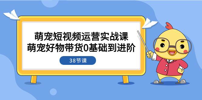 萌宠·短视频运营实战课：萌宠好物带货0基础到进阶（38节课）四海领钱-网创-知识付费-网创项目资源站-副业项目-创业项目-搞钱项目四海领钱