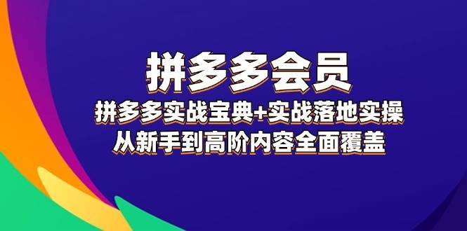拼多多 会员，拼多多实战宝典+实战落地实操，从新手到高阶内容全面覆盖四海领钱-网创-知识付费-网创项目资源站-副业项目-创业项目-搞钱项目四海领钱