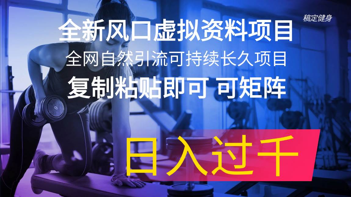 全新风口虚拟资料项目 全网自然引流可持续长久项目 复制粘贴即可可矩阵…四海领钱-网创-知识付费-网创项目资源站-副业项目-创业项目-搞钱项目四海领钱