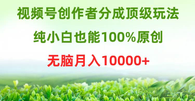 视频号创作者分成顶级玩法，纯小白也能100%原创，无脑月入10000+四海领钱-网创-知识付费-网创项目资源站-副业项目-创业项目-搞钱项目四海领钱