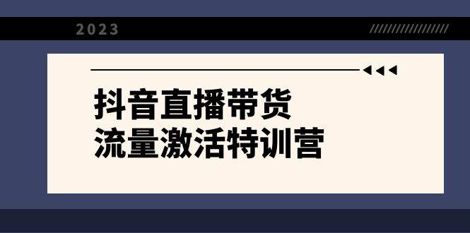 抖音直播带货-流量激活特训营，入行新手小白主播必学（21节课+资料）四海领钱-网创-知识付费-网创项目资源站-副业项目-创业项目-搞钱项目四海领钱
