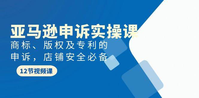亚马逊-申诉实战课，商标、版权及专利的申诉，店铺安全必备四海领钱-网创-知识付费-网创项目资源站-副业项目-创业项目-搞钱项目四海领钱