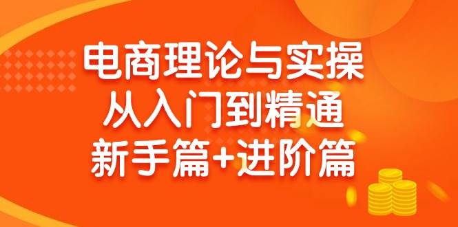 电商理论与实操从入门到精通 新手篇+进阶篇四海领钱-网创-知识付费-网创项目资源站-副业项目-创业项目-搞钱项目四海领钱
