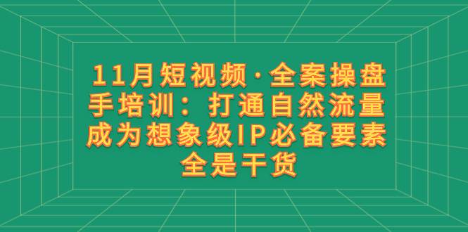 11月短视频·全案操盘手培训：打通自然流量 成为想象级IP必备要素 全是干货四海领钱-网创-知识付费-网创项目资源站-副业项目-创业项目-搞钱项目四海领钱