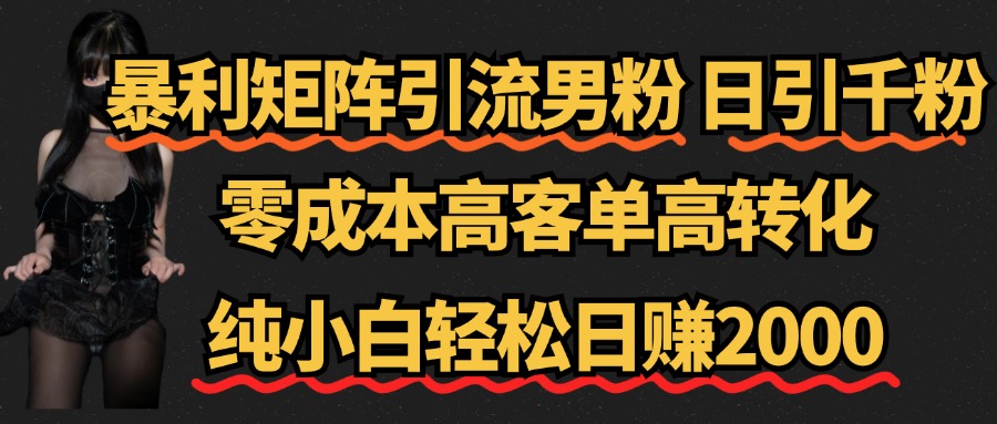 暴利矩阵引流男粉（日引千粉），零成本高客单高转化，纯小白轻松日赚2000+四海领钱-网创-知识付费-网创项目资源站-副业项目-创业项目-搞钱项目四海领钱