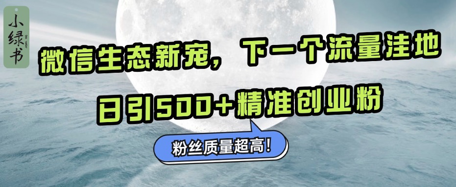 微信生态新宠小绿书：下一个流量洼地，粉丝质量超高，日引500+精准创业粉，四海领钱-网创-知识付费-网创项目资源站-副业项目-创业项目-搞钱项目四海领钱