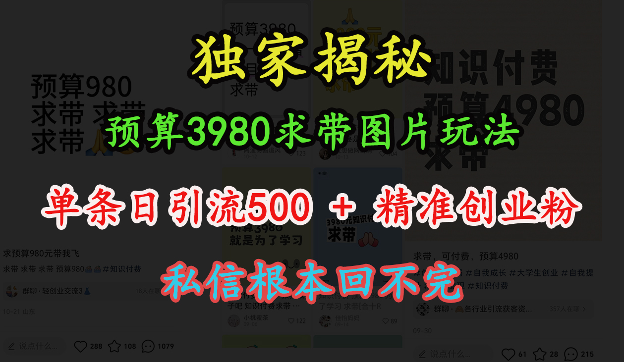 “小红书”预算3980求带 图片玩法，单条日引流500+精准创业粉，私信根本回不完四海领钱-网创-知识付费-网创项目资源站-副业项目-创业项目-搞钱项目四海领钱