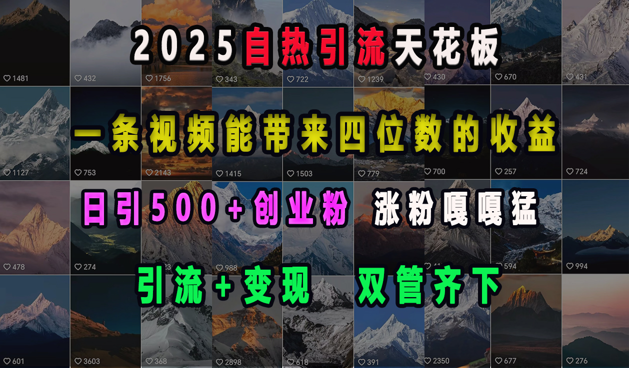 2025自热引流天花板，一条视频能带来四位数的收益，引流+变现双管齐下，日引500+创业粉，涨粉嘎嘎猛四海领钱-网创-知识付费-网创项目资源站-副业项目-创业项目-搞钱项目四海领钱