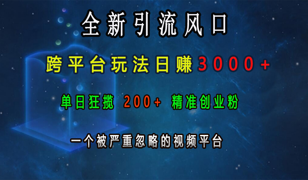 全新引流风口，跨平台玩法日赚3000+，单日狂揽200+精准创业粉，一个被严重忽略的视频平台四海领钱-网创-知识付费-网创项目资源站-副业项目-创业项目-搞钱项目四海领钱