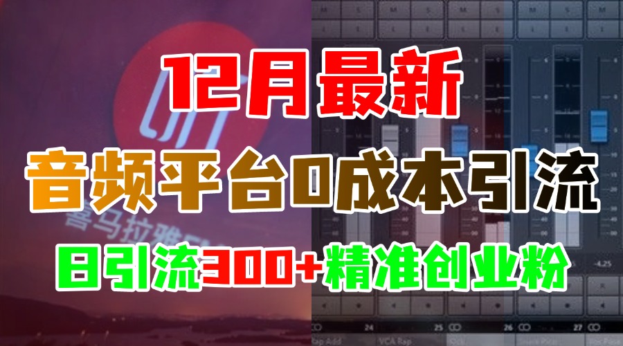 12月最新：音频平台0成本引流，日引300+精准创业粉四海领钱-网创-知识付费-网创项目资源站-副业项目-创业项目-搞钱项目四海领钱