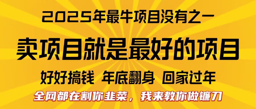 全网都在割你韭菜，我来教你做镰刀。卖项目就是最好的项目，2025年最牛互联网项目四海领钱-网创-知识付费-网创项目资源站-副业项目-创业项目-搞钱项目四海领钱