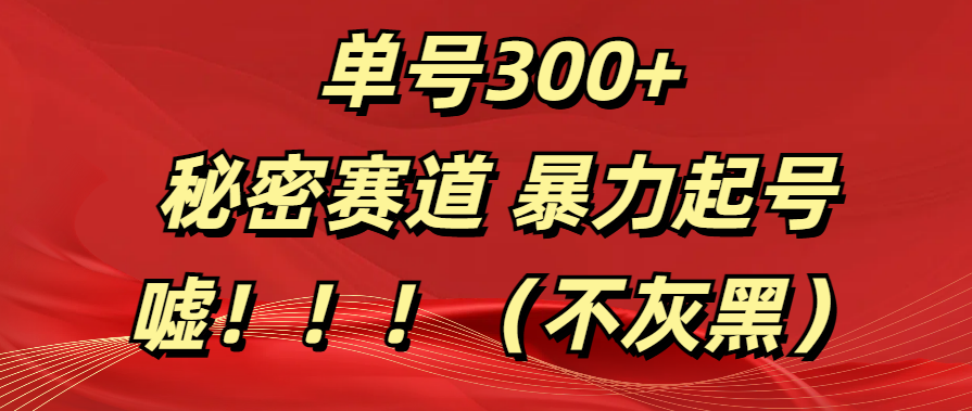 单号300+  秘密赛道 暴力起号  （不灰黑）四海领钱-网创-知识付费-网创项目资源站-副业项目-创业项目-搞钱项目四海领钱