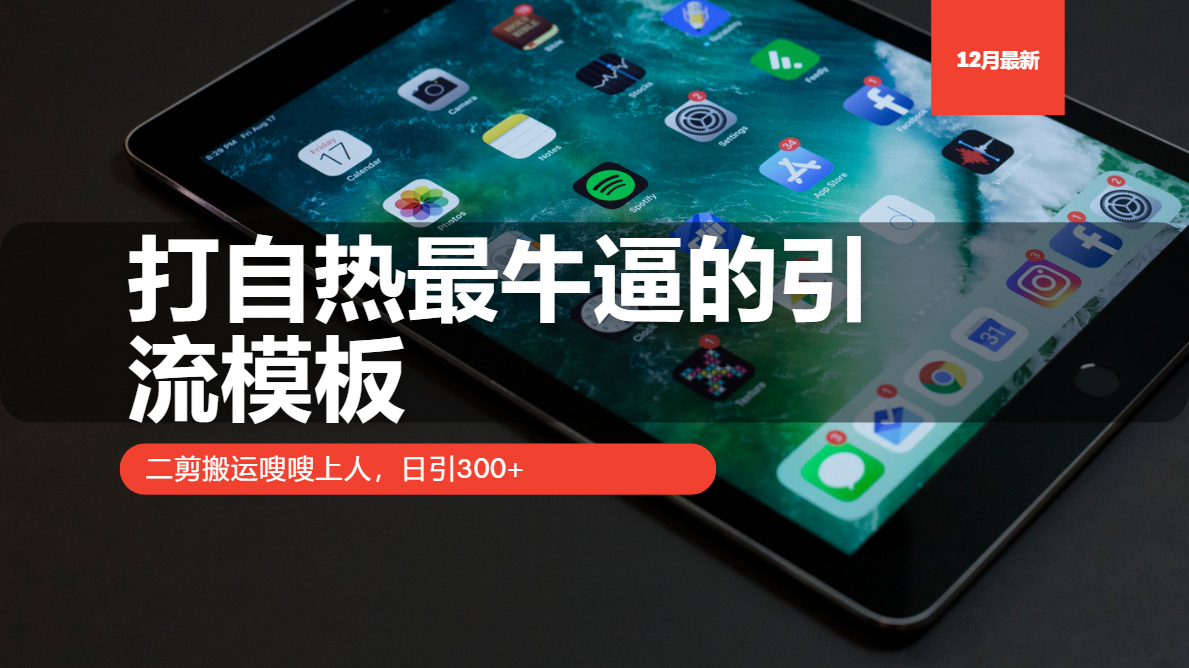 打自热最牛逼的引流模板，日引300+，二剪搬运嗖嗖上人四海领钱-网创-知识付费-网创项目资源站-副业项目-创业项目-搞钱项目四海领钱